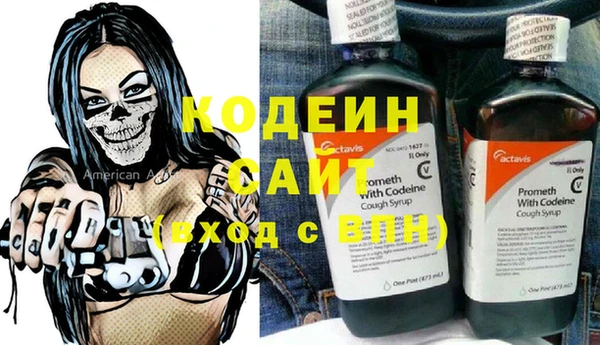 дживик Пестово