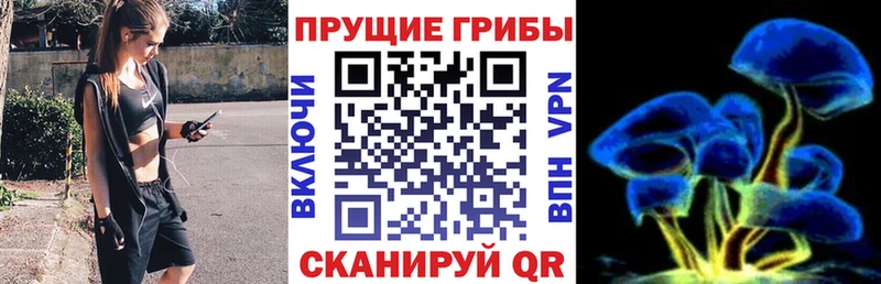 хочу наркоту  кракен   Псилоцибиновые грибы Psilocybine cubensis  Сасово 